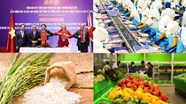 Thương mại song phương Việt Nam - Anh năm 2019