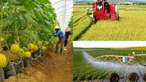 Thúc tái cơ cấu, nông nghiệp Việt muốn tăng xuất khẩu nông sản 5%/năm