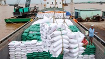 Xuất khẩu gạo năm 2020 sang các thị trường chính đều tăng kim ngạch