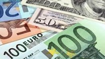 Tỷ giá ngoại tệ ngày 19/02/2021: USD giảm, Euro tăng