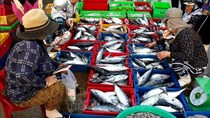 Nhiều mặt hàng thủy, hải sản tăng giá đến 15% nhưng vẫn hút hàng