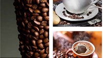 Xuất khẩu cà phê tháng 1/2021 tăng cả lượng và trị giá