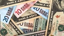 Tỷ giá ngoại tệ 09/03/2021: USD tăng, Euro giảm