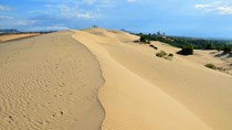 Khủng hoảng cát toàn cầu đang diễn ra trầm trọng thế nào?