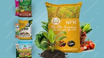 Hai tháng đầu năm 2021 nhập khẩu phân bón từ các thị trường chủ đạo tăng cao