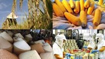 Xuất siêu nông sản giảm hơn 40% trong 4 tháng