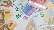 Tỷ giá Euro ngày 12/5/2021 tăng giảm trái chiều giữa các ngân hàng