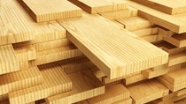Cảnh báo rủi ro trong khai báo hải quan gỗ và sản phẩm gỗ xuất khẩu