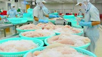 Xuất khẩu hải sản sang Hàn Quốc tăng 5% 
