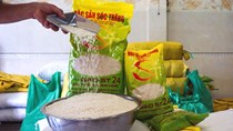 Xuất khẩu gạo 5 tháng tăng hơn 11% về lượng