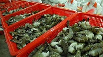 Tháng 5/2021, xuất khẩu hải sản của Việt Nam tăng 26%