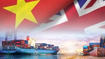 UKVFTA có hiệu lực 5 tháng, xuất khẩu sang Anh tăng ngay 29%