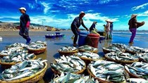 Thị trường chủ yếu cung cấp thủy sản cho Việt Nam 6 tháng đầu năm 2021