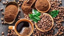 Xuất khẩu cà phê 6 tháng đầu năm 2021 đạt gần 1,55 tỷ USD