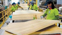 Tăng tốc mở cửa thị trường xuất khẩu cho gỗ Việt