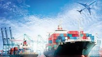 Thương mại Việt - Mỹ đạt hơn 50 tỷ USD