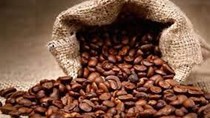 Dự báo sản lượng giảm mạnh, thế giới sắp thiếu hụt cà phê