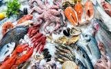 Thủy sản Việt Nam có nguy cơ mất thị trường EU nếu ngành khai thác hải sản bị EC phạt thẻ đỏ