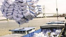 Xuất khẩu gạo 7 tháng đầu năm 2021 tiếp tục giảm