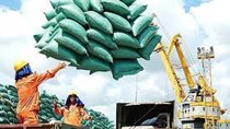 Thị trường xuất khẩu gạo 8 tháng năm 2021 