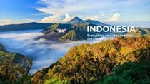 Nhập khẩu hàng hóa từ Indonesia 8 tháng năm 2021 tăng gần 52% kim ngạch