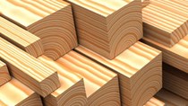 Xuất khẩu gỗ vẫn tăng gần 31% bất chấp nhiều khó khăn