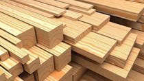 Giá gỗ xẻ tại Mỹ tăng 95% trong 5 tuần do nguồn cung giảm, trong khi nhu cầu mạnh