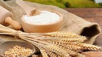 Ước tính sản lượng lúa mì của Mexico mùa vụ 2021-22 tăng