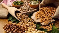 Xuất khẩu ngũ cốc của Ukraine niên vụ 2021-22 tăng 21,1% so với vụ trước