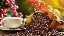 Xuất khẩu cà phê năm 2021 giảm về lượng nhưng tăng kim ngạch