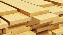 Giá gỗ nguyên liệu nhập khẩu cao “ngất” vì khan nguồn cung