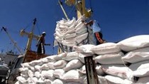 Trị giá xuất khẩu gạo tăng hơn 22%