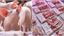 Trung Quốc sẽ mua 38.000 tấn thịt lợn đông lạnh để dự trữ vào ngày 10/3/2022 