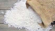 USDA dự báo sản lượng gạo của Philippines niên vụ 2022 - 2023 đạt 12,4 triệu tấn