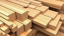 Kiểm soát chặt nguồn gốc để tăng tốc xuất khẩu gỗ sang Hoa Kỳ