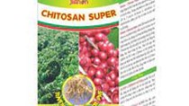 EU phê duyệt sử dụng hoạt chất Chitosan trong bảo quản sau thu hoạch
