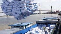 Xuất khẩu gạo quý I/2022 tăng cả lượng và kim ngạch