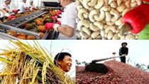 Mỹ, Trung Quốc, Nhật Bản tăng mua, nhiều mặt hàng nông sản thu về cả tỷ đô