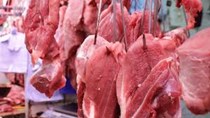 Xuất khẩu thịt lợn của Nga 6 tháng đầu năm 2022 giảm 23% 