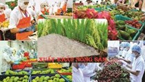 Infographics: Xuất khẩu 4 sản phẩm nông nghiệp đạt trên 2 tỷ USD