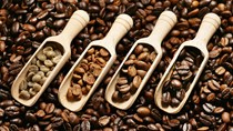 Xuất khẩu cà phê khả quan thu về 4 tỷ USD
