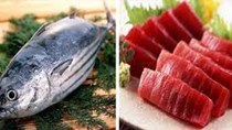 Xuất khẩu cá ngừ sang EU “đảo chiều” trong quý III/2022