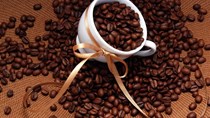 Thị trường xuất khẩu cà phê 9 tháng năm 2022 