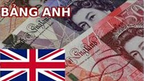 Tỷ giá Bảng Anh ngày 10/11/2022 giảm mạnh trên toàn hệ thống ngân hàng