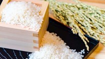 Giá xuất khẩu cao tới hết năm, gạo Việt khả quan thu về 3,3 tỷ USD