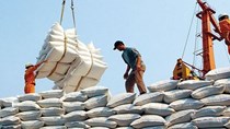 Xuất khẩu gạo sang các thị trường năm 2022 
