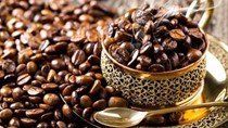 Xuất khẩu cà phê sang các thị trường tháng 1/2023 đạt 310,44 triệu USD