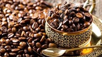 Doanh nghiệp Israel cần nhập khẩu cà phê