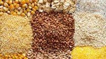 Xuất khẩu ngũ cốc toàn cầu năm 2022/23 tiếp tục giảm, sản lượng lúa mì tăng nhẹ 