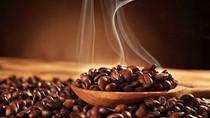 Giá cà phê hôm nay 10/5: Thị trường giảm, thấp nhất 53.200 đồng/kg